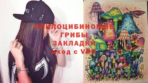 тгк Алзамай